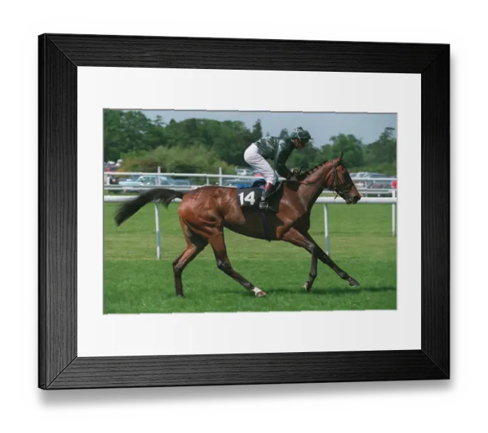 Framed Print : Prism Ridden By Richard Quinn 18 June 1994 Date: 18 June 1994 Framed Print : Prism Ridden By Richard Quinn 18 June 1994 Date: 18 June 1994