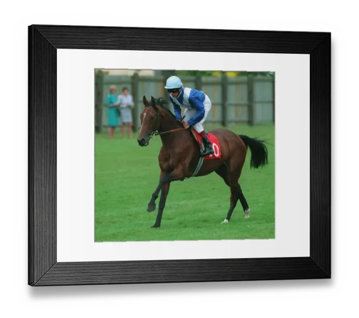 Framed Print : Shareek Ridden By Walter Swinburn 09 July 1994 Date: 09 July 1994 Framed Print : Shareek Ridden By Walter Swinburn 09 July 1994 Date: 09 July 1994