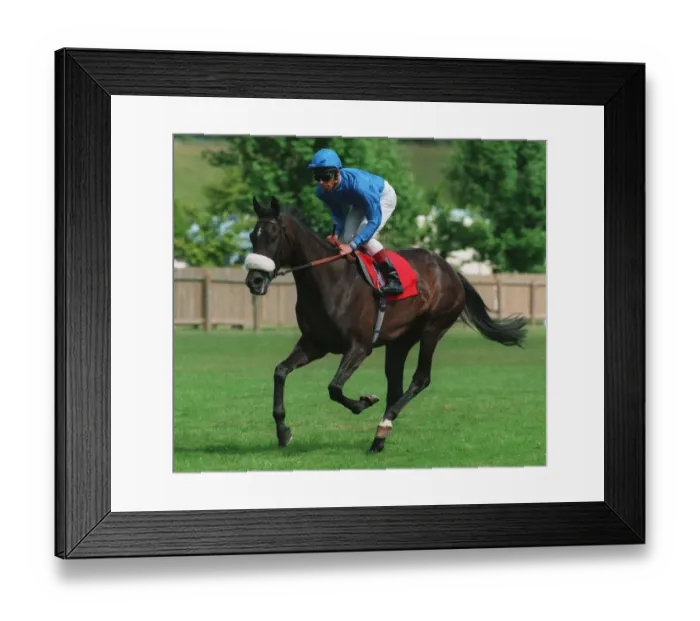 Framed Print : Belle Argentine Framed Print : Belle Argentine