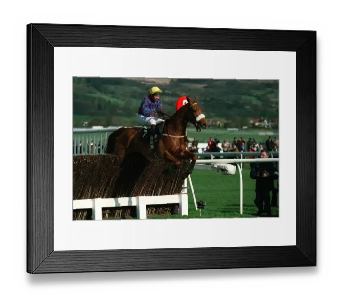 Framed Print : Mubadir Ridden By P.Carberry 08 May 1994 Date: 08 May 1994 Framed Print : Mubadir Ridden By P.Carberry 08 May 1994 Date: 08 May 1994