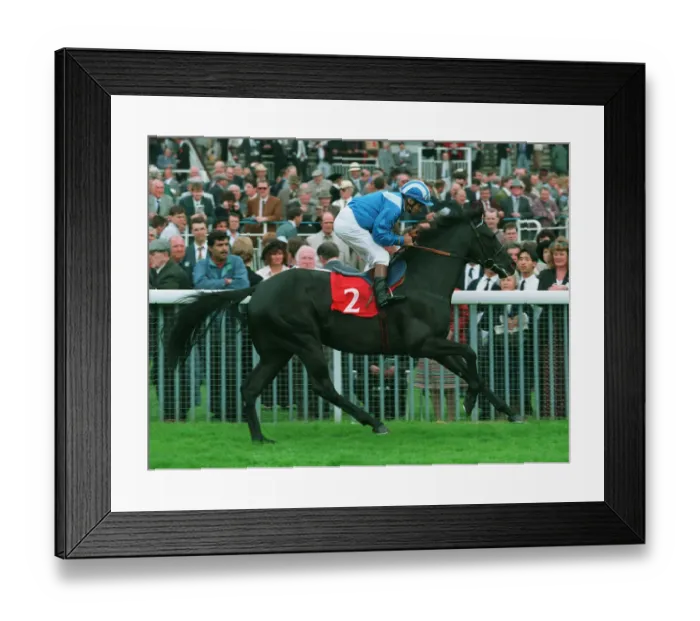 Framed Print : Erhaab Ridden By Willie Carson 09 June 1994 Date: 09 June 1994 Framed Print : Erhaab Ridden By Willie Carson 09 June 1994 Date: 09 June 1994