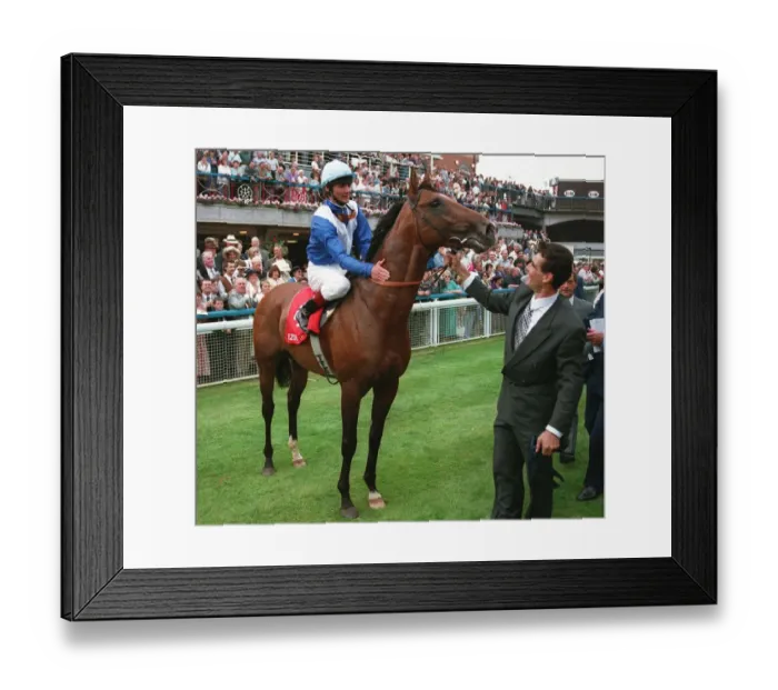 Framed Print : Ezzoud After Juddmonte Victory Framed Print : Ezzoud After Juddmonte Victory