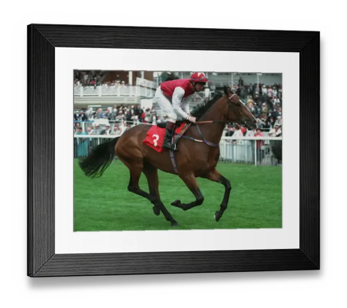 Framed Print : Doubleton Ridden By Michael Kinane 19 August 1994 Date: 19 August 1994 Framed Print : Doubleton Ridden By Michael Kinane 19 August 1994 Date: 19 August 1994