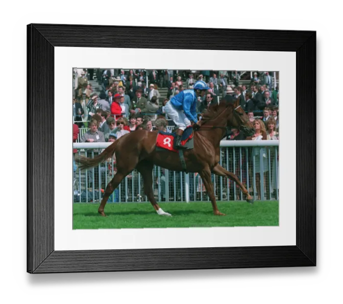 Framed Print : Wijdan Ridden By Willie Carson 09 June 1994 Date: 09 June 1994 Framed Print : Wijdan Ridden By Willie Carson 09 June 1994 Date: 09 June 1994