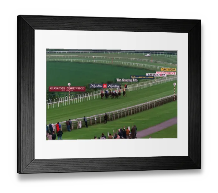 Framed Print : Advertising In Full View Framed Print : Advertising In Full View