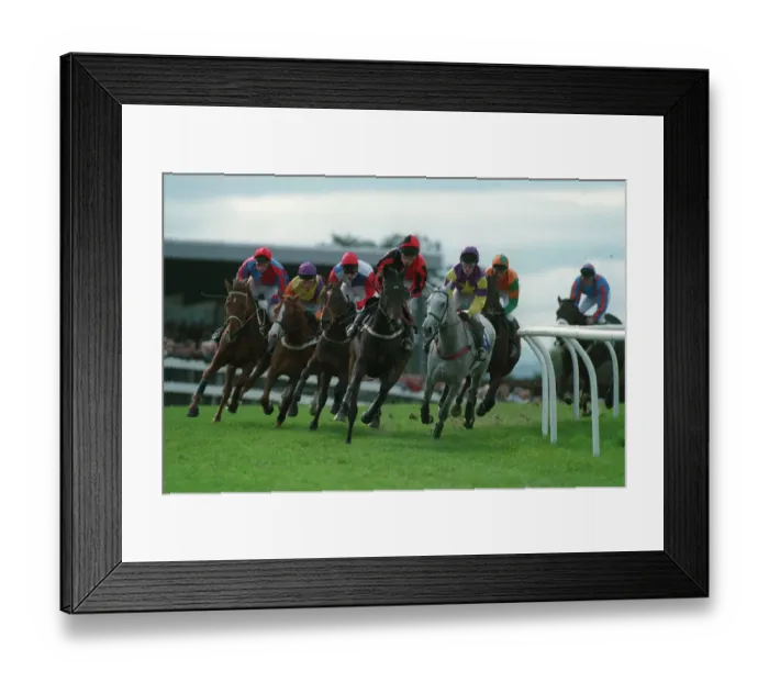Framed Print : Sedgfield Races