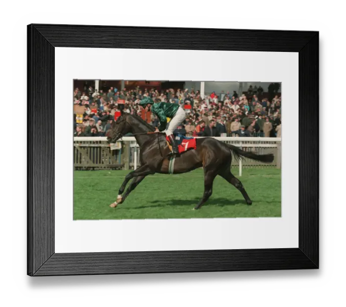 Framed Print : Inzar Ridden By Richard Quinn 26 April 1995 Date: 26 April 1995 Framed Print : Inzar Ridden By Richard Quinn 26 April 1995 Date: 26 April 1995