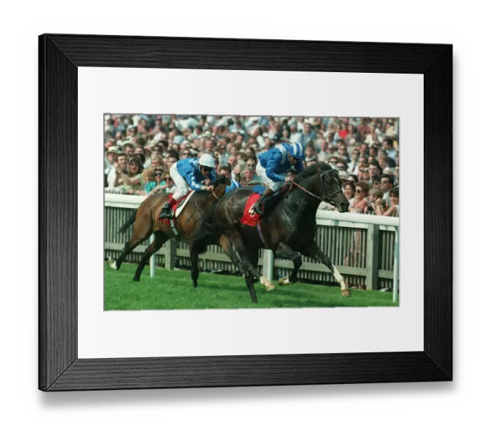 Framed Print : Burooj Wins Torch Motor Stakes Framed Print : Burooj Wins Torch Motor Stakes