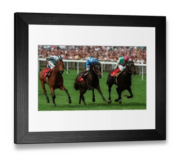 Framed Print : Peace Envoy Wins Lords Taven Framed Print : Peace Envoy Wins Lords Taven
