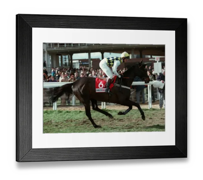 Framed Print : Travado Ridden By Richard Dunwoody 20 March 1995 Date: 20 March 1995 Framed Print : Travado Ridden By Richard Dunwoody 20 March 1995 Date: 20 March 1995