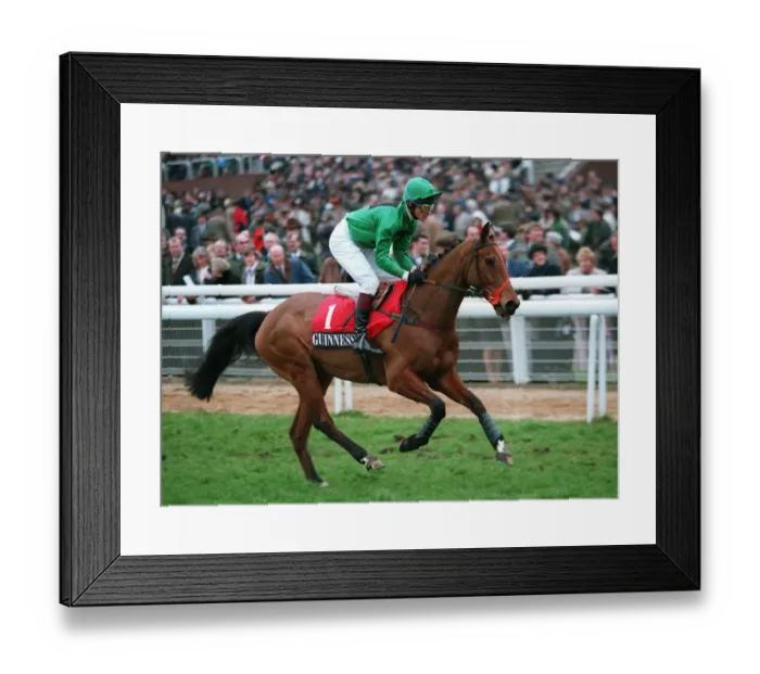 Framed Print : Dancing Paddy