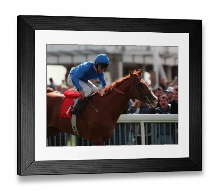 Framed Print : Moonax Wins Yorkshire Cup Framed Print : Moonax Wins Yorkshire Cup