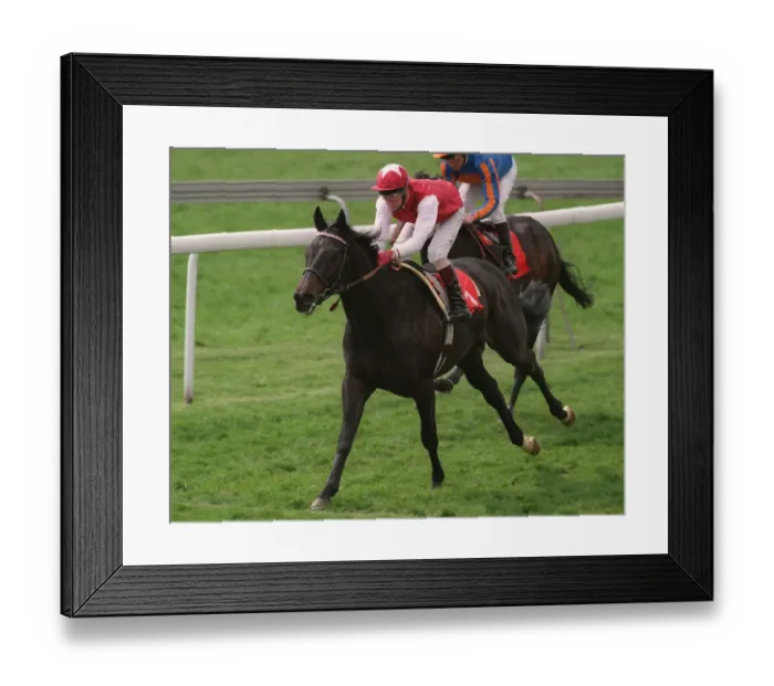 Framed Print : Kazaki Wins Wood Ditton Stks Framed Print : Kazaki Wins Wood Ditton Stks