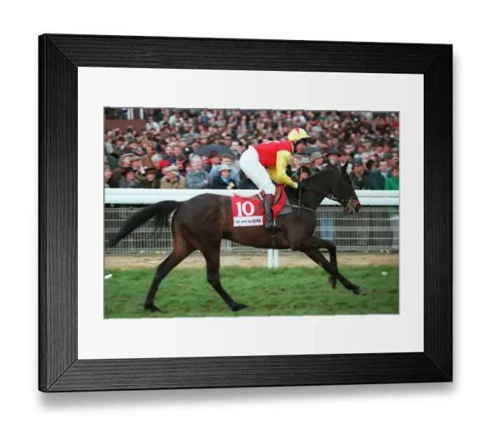 Framed Print : Minnehoma Ridden By Richard Dunwoody 21 March 1995 Date: 21 March 1995