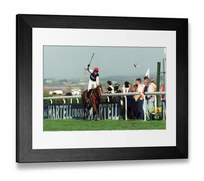 Framed Print : Royal Athlete (Jason Titley) Framed Print : Royal Athlete (Jason Titley)