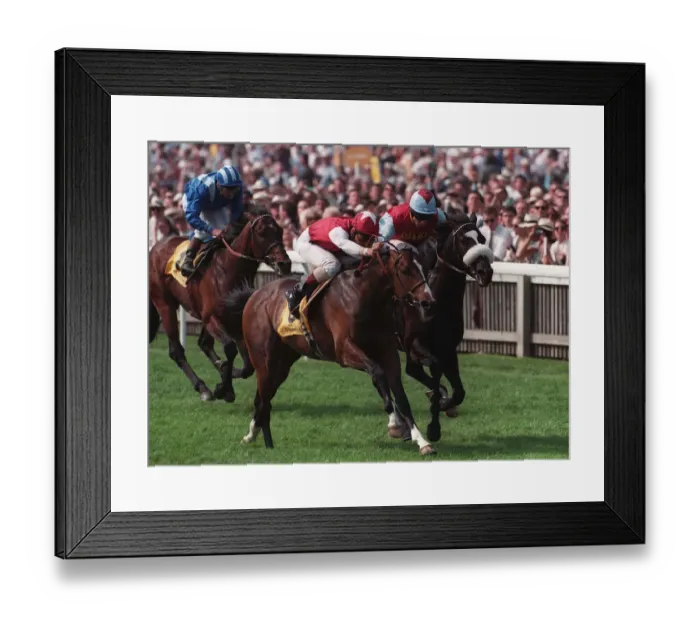 Framed Print : Pennekamp Wins The 2000 Framed Print : Pennekamp Wins The 2000