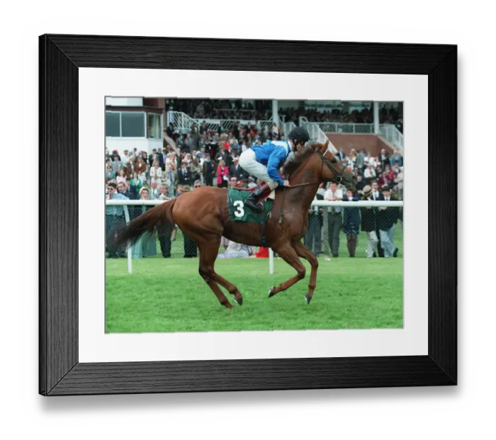 Framed Print : Mukakddim Ridden By Gary Hind 24 May 1995 Date: 24 May 1995 Framed Print : Mukakddim Ridden By Gary Hind 24 May 1995 Date: 24 May 1995