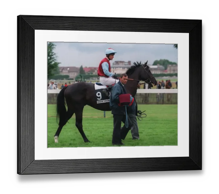 Framed Print : Celtic Swing Framed Print : Celtic Swing