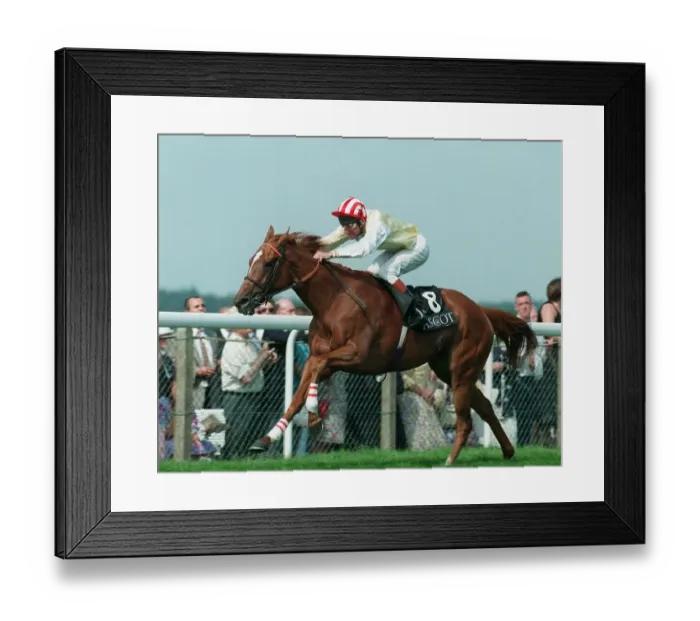 Framed Print : Ridgewood Pearl Wns Coronation
