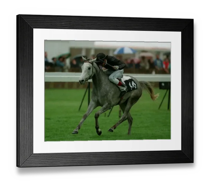 Framed Print : Zayna Wins Wins Emirates Arab