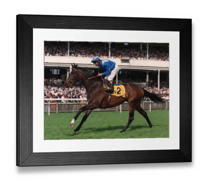 Framed Print : Aqaarid Ridden By Willie Carson 25 May 1995 Date: 25 May 1995 Framed Print : Aqaarid Ridden By Willie Carson 25 May 1995 Date: 25 May 1995