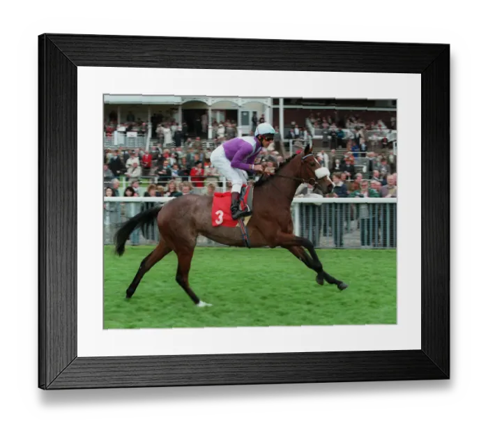 Framed Print : High Cut Ridden By Lanfranco Dettori 25 May 1995 Date: 25 May 1995 Framed Print : High Cut Ridden By Lanfranco Dettori 25 May 1995 Date: 25 May 1995