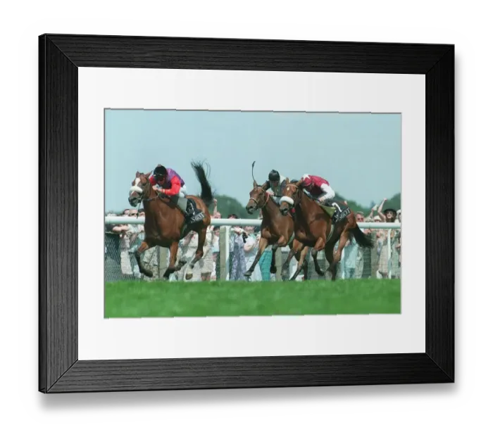 Framed Print : Phantom Gold Wins Ribblesdale Framed Print : Phantom Gold Wins Ribblesdale