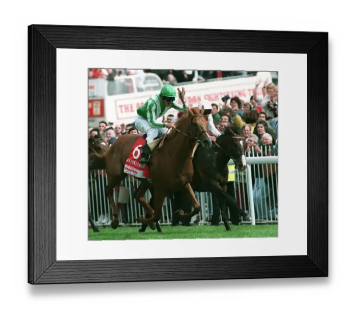 Framed Print : Lammtarra Wins 95 Epsom Derby Framed Print : Lammtarra Wins 95 Epsom Derby