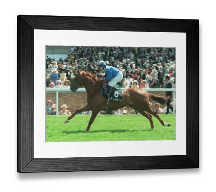 Framed Print : Mubhij Ridden By Willie Carson 28 June 1995 Date: 28 June 1995 Framed Print : Mubhij Ridden By Willie Carson 28 June 1995 Date: 28 June 1995