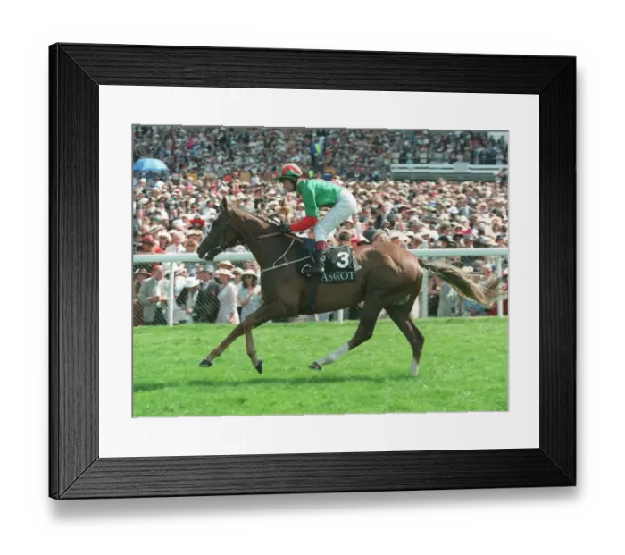 Framed Print : Double Trigger Framed Print : Double Trigger