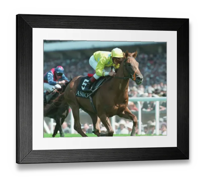 Framed Print : Lucky Lionel Wins Norfolk Stks Framed Print : Lucky Lionel Wins Norfolk Stks