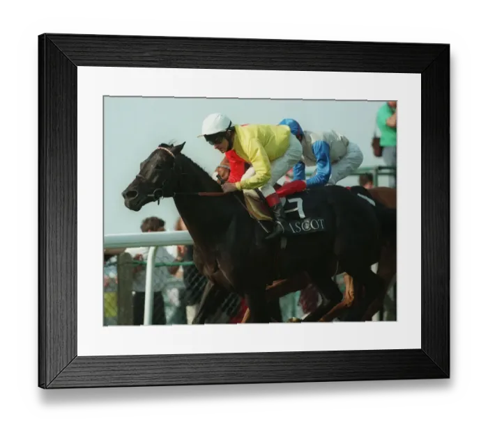 Framed Print : Son Of Sharp Shot (Pat Eddery) Framed Print : Son Of Sharp Shot (Pat Eddery)