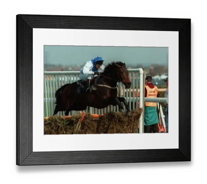 Framed Print : Danoli Ridden By Charlie Swan 14 April 1995 Date: 14 April 1995 Framed Print : Danoli Ridden By Charlie Swan 14 April 1995 Date: 14 April 1995