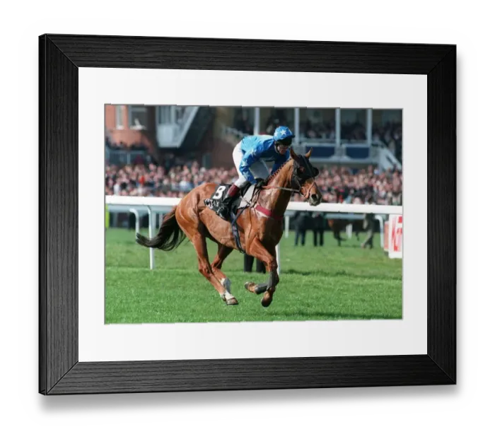 Framed Print : Zetas Lad Ridden By Graham Bradley 14 April 1995 Date: 14 April 1995 Framed Print : Zetas Lad Ridden By Graham Bradley 14 April 1995 Date: 14 April 1995