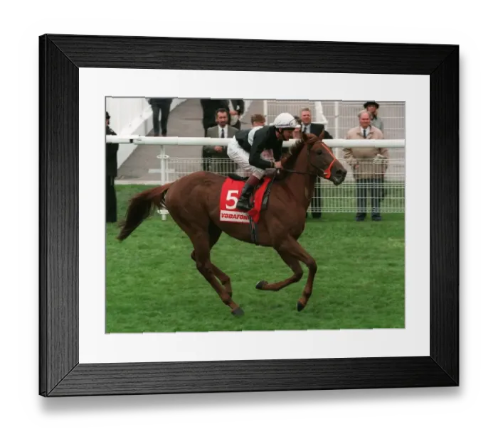 Framed Print : Lucky Lionel