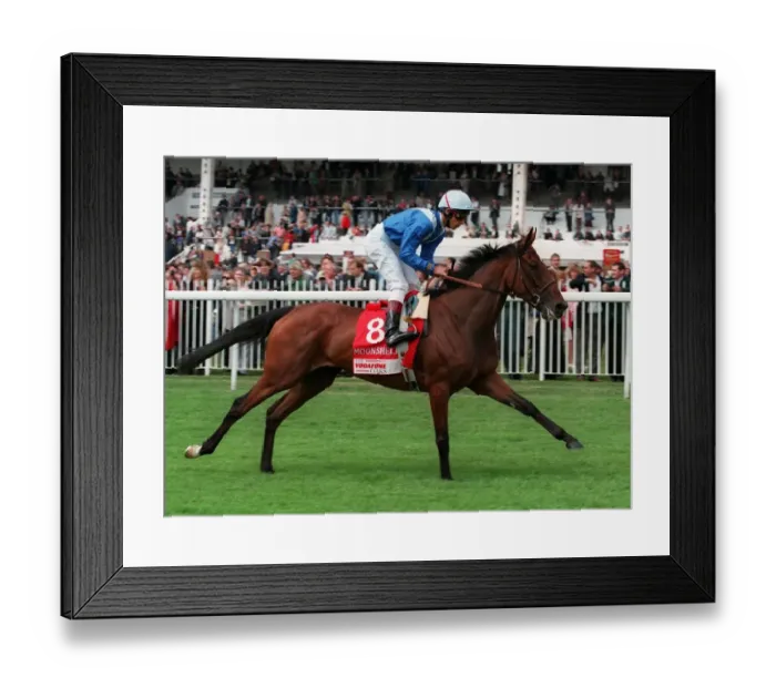Framed Print : Moonshell Ridden By Lanfranco Dettori 10 July 1995 Date: 10 July 1995 Framed Print : Moonshell Ridden By Lanfranco Dettori 10 July 1995 Date: 10 July 1995