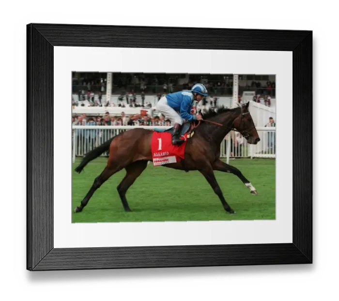 Framed Print : Aqaarid Ridden By Willie Carson 10 July 1995 Date: 10 July 1995 Framed Print : Aqaarid Ridden By Willie Carson 10 July 1995 Date: 10 July 1995