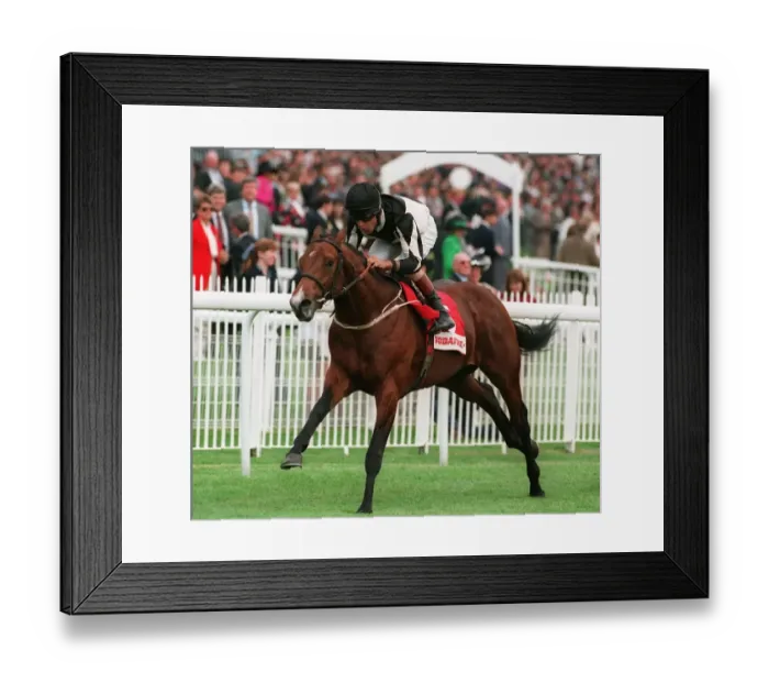 Framed Print : Prince Aslia Wins Vodata Stks Framed Print : Prince Aslia Wins Vodata Stks