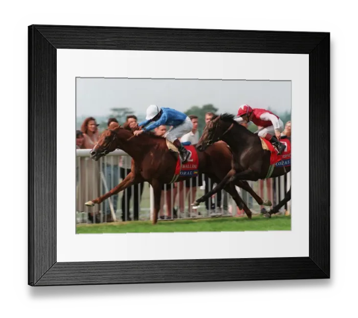 Framed Print : Halling (Swinburn) Wins Coral Framed Print : Halling (Swinburn) Wins Coral