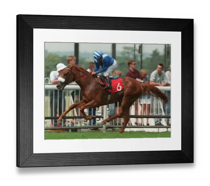 Framed Print : Mawwal Wins Paddock Maiden Stk
