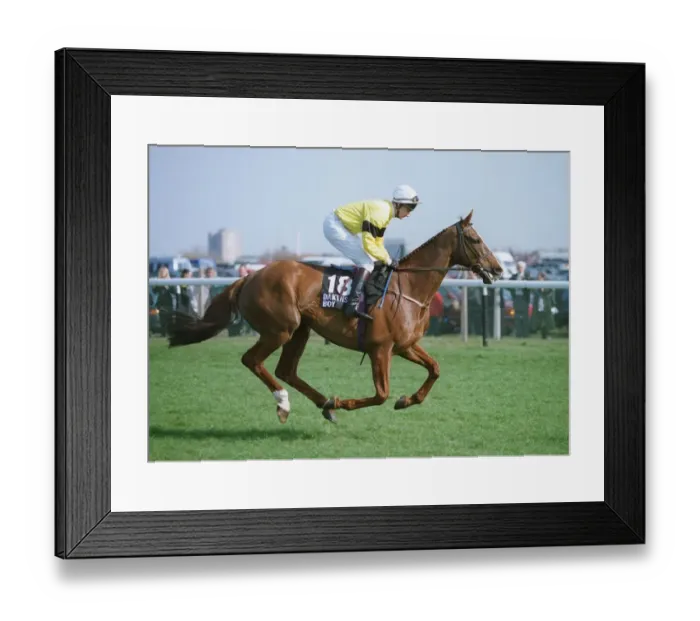 Framed Print : Dakyns Boy Framed Print : Dakyns Boy