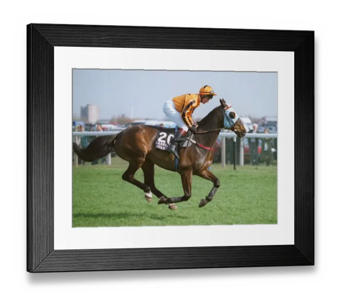 Framed Print : Garrison Savannah Framed Print : Garrison Savannah