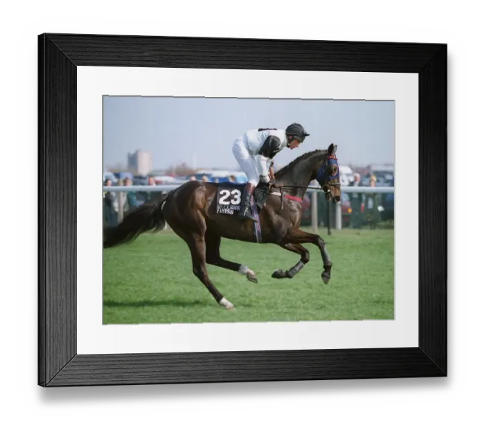 Framed Print : Superior Finish Framed Print : Superior Finish
