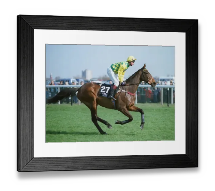 Framed Print : Esha Ness Racehorse 29 April 1995 Date: 29 April 1995 Framed Print : Esha Ness Racehorse 29 April 1995 Date: 29 April 1995
