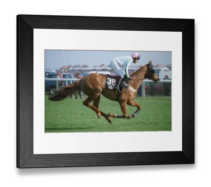 Framed Print : Its A Snip Framed Print : Its A Snip