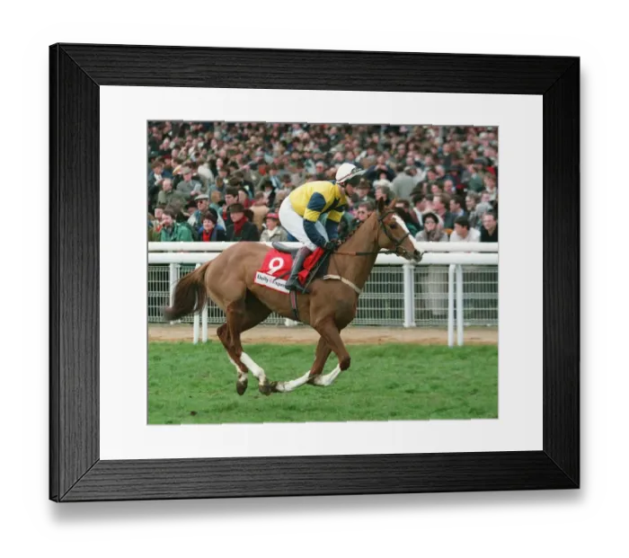 Framed Print : Dr Leunt Racehorse 14 March 1995 Date: 14 March 1995 Framed Print : Dr Leunt Racehorse 14 March 1995 Date: 14 March 1995