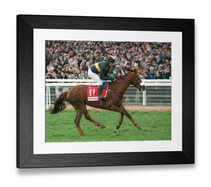 Framed Print : Golden Arrow
