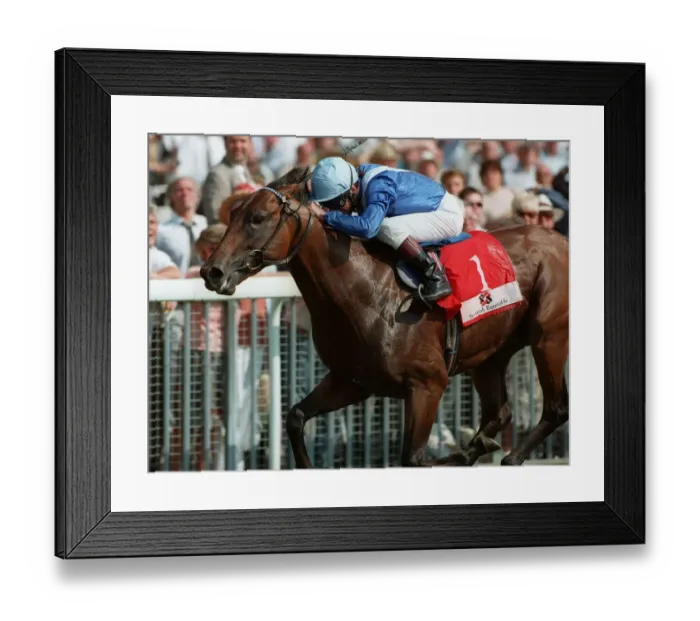 Framed Print : Royal Applause Wins Gimcrack Framed Print : Royal Applause Wins Gimcrack