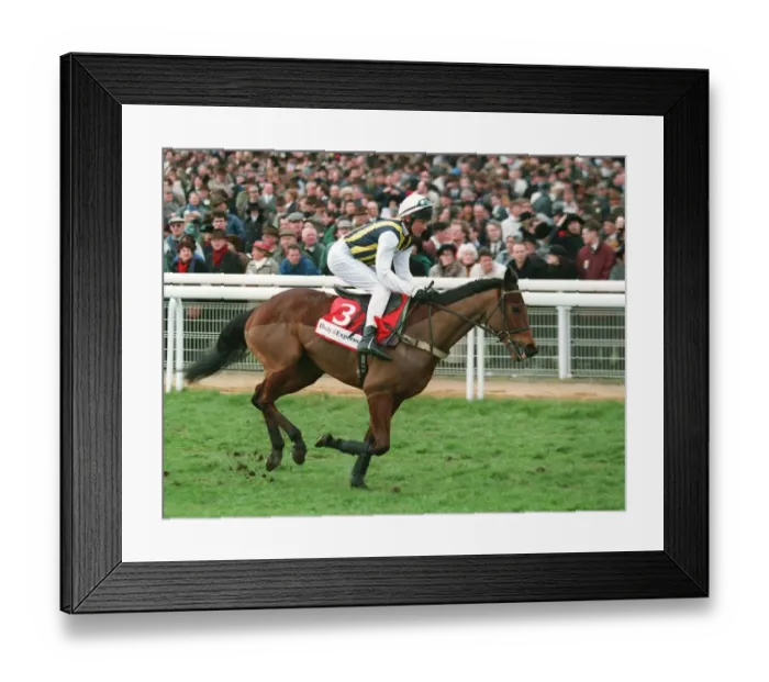 Framed Print : Anzum Racehorse 14 March 1995 Date: 14 March 1995 Framed Print : Anzum Racehorse 14 March 1995 Date: 14 March 1995