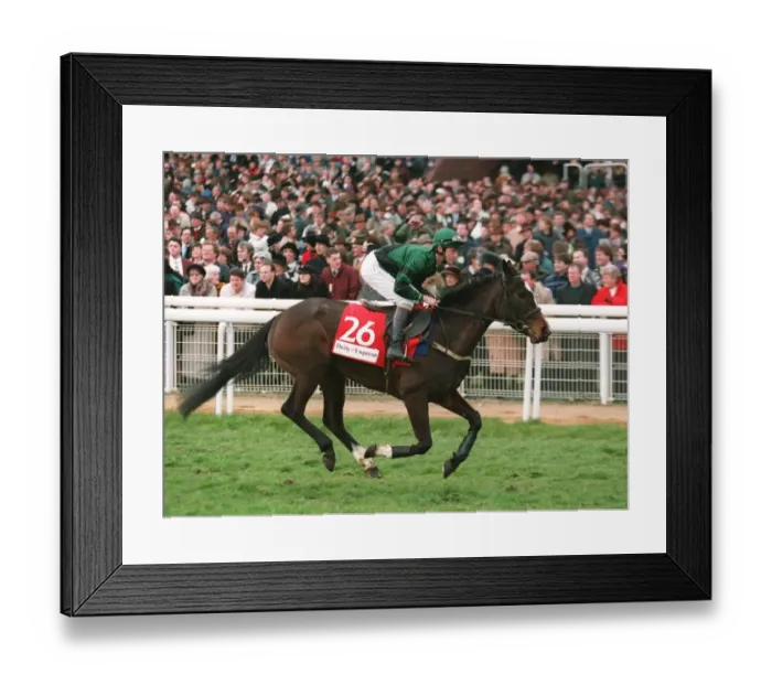 Framed Print : Gloriette Racehorse 14 March 1995 Date: 14 March 1995 Framed Print : Gloriette Racehorse 14 March 1995 Date: 14 March 1995